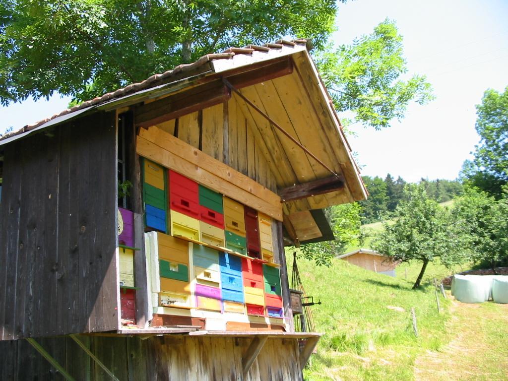 Haus Am Eckle Apartment Kleines Wiesental Exterior photo